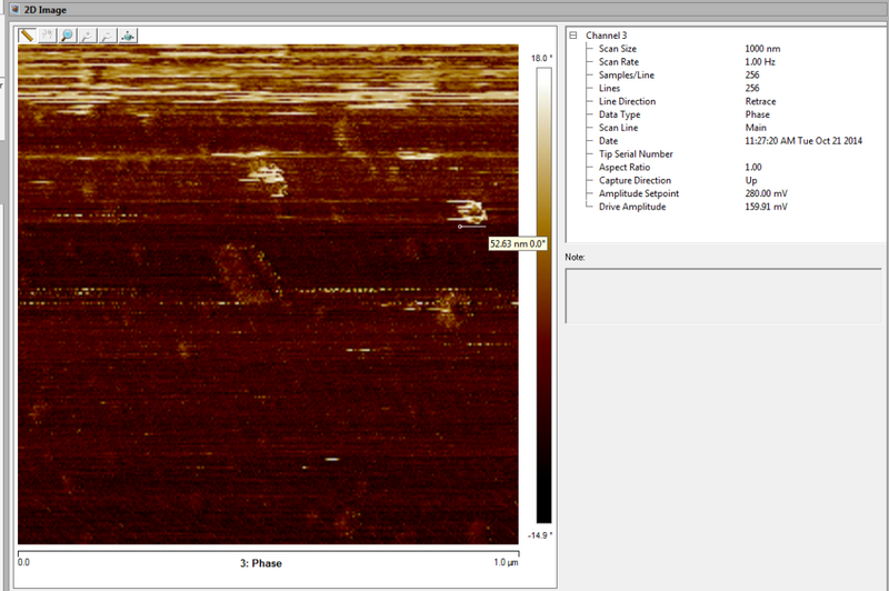 File:ExpresultSection3 19.jpg