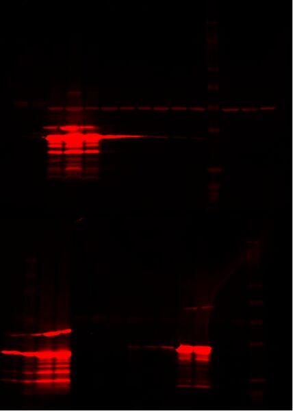 File:2008-03-18 2.jpg