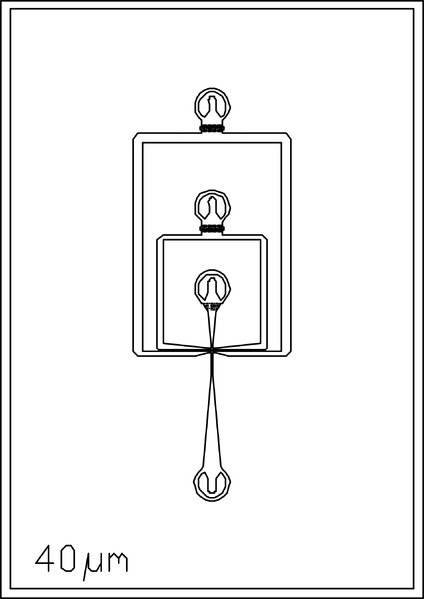 File:40um 3 inlets.png