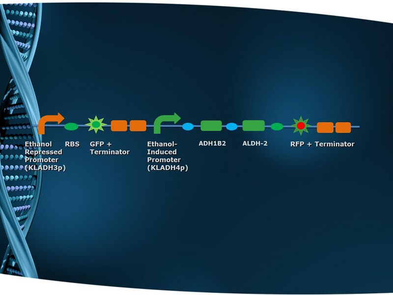 File:Assembly Scheme Group 8.jpg