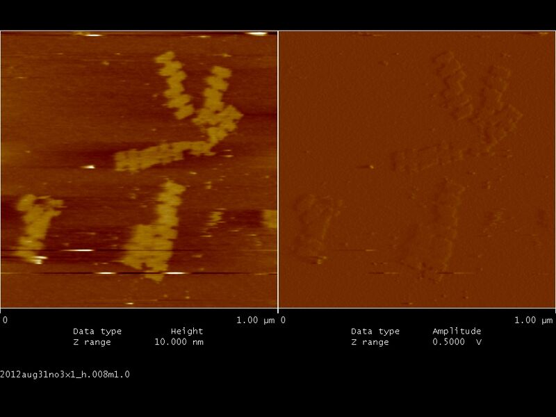 File:Biomod-2012-UTokyo-UT-Hongo-2012aug31no3x1 h.008m1.0.jpg