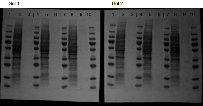 File:KAH 062110 ps1.tif