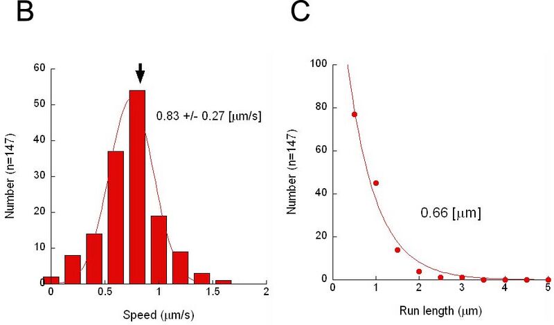 File:Kaseiresult fig2-3BC.jpg