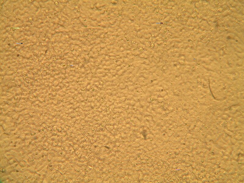 File:Mod2Day3Part1-2b