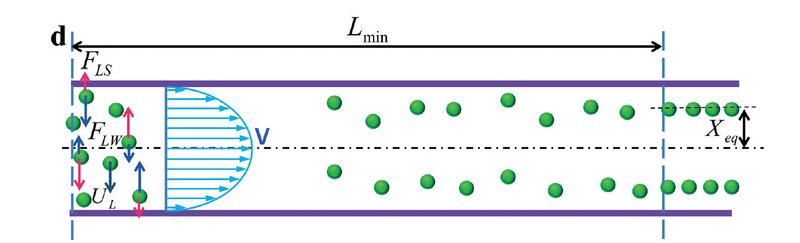 File:Straight channel.png