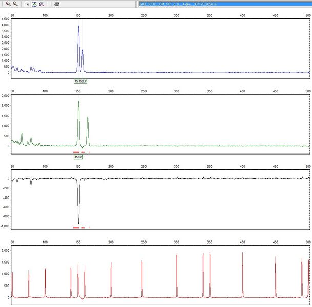 File:20110701 FragLOM.jpg