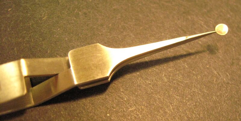 File:Macintosh HD-Users-nkuldell-Desktop-tweezersTEMgrid.jpg