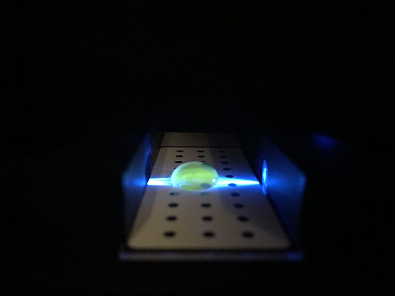 File:Picture forthis3.jpg