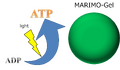 Thumbnail for version as of 05:22, 31 August 2013