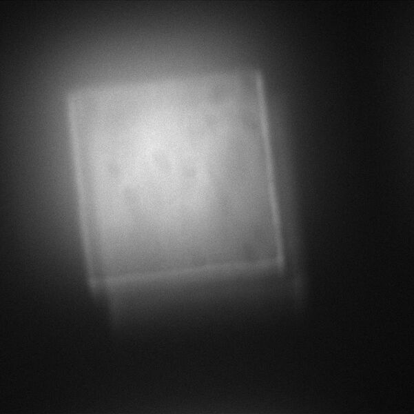 File:100 micrometer squares 40x air.jpg