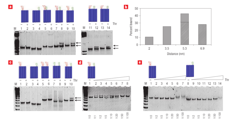File:150224pjh-aptamer.PNG