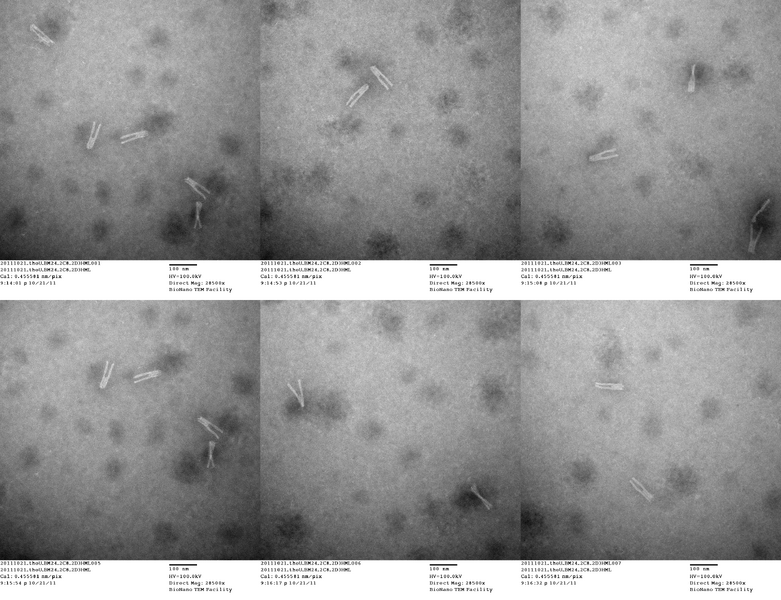 File:20111021 theU BM24 2C8 2D3HML.png