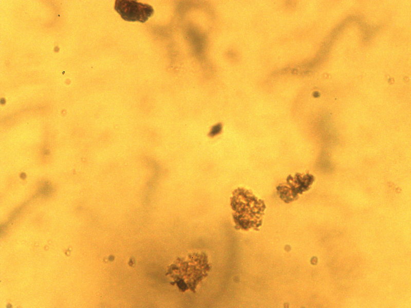 File:32x 13000 bsa-mag solocation 3-4.jpg