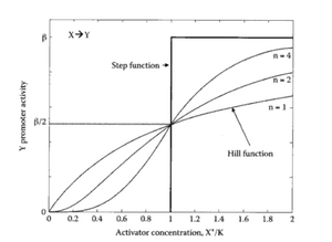 Hill Function (Activator)