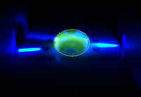 Photo of Positive Sample droplet with circle around droplet