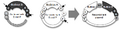 Thumbnail for version as of 20:06, 19 January 2012