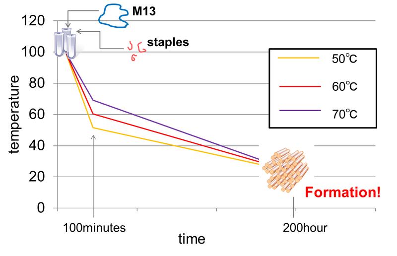 File:Hexa annealing.png