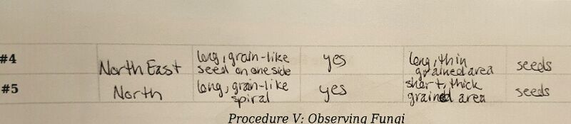 File:Plnt Charact 4-5.jpg