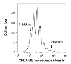Cell proliferation assay example. Cells were stained with CFDA-SE and monitored by flow cytometry after several days.