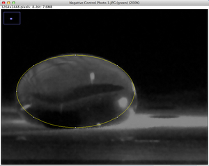 ImageJ Green-Channel isolated Negative Control image with circle around droplet.