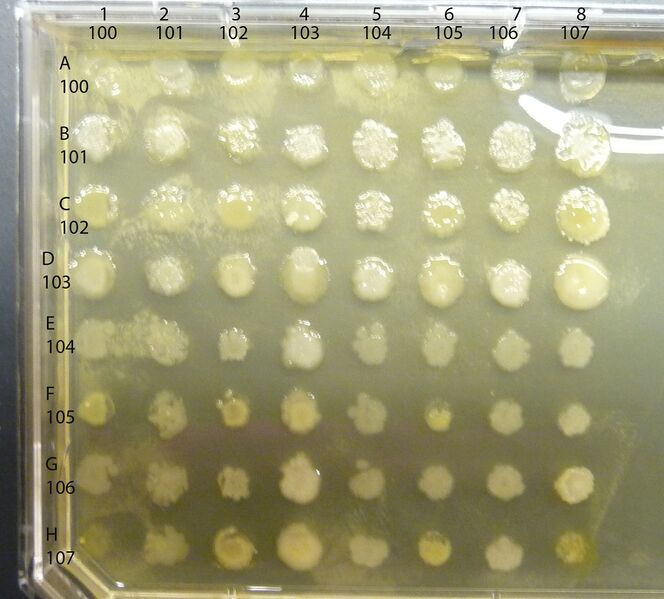 File:Interactions cropped.jpg