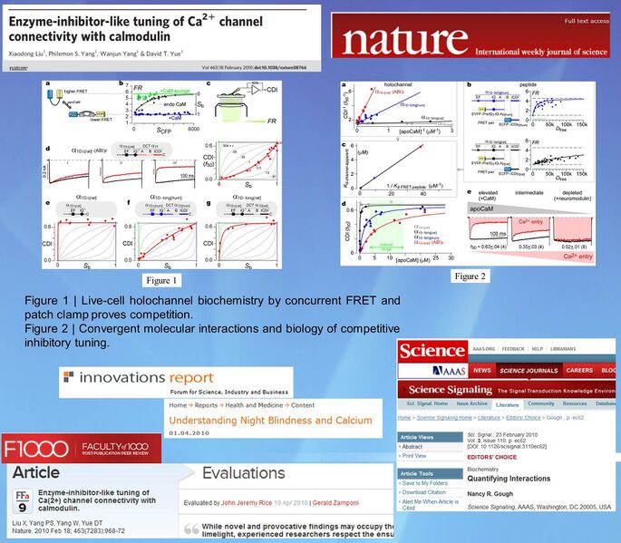 File:Reprework X.png