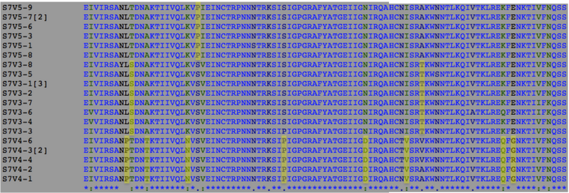 File:CHR Image2 20111026.png