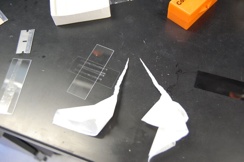 File:Low tech flow cell and wicks.JPG