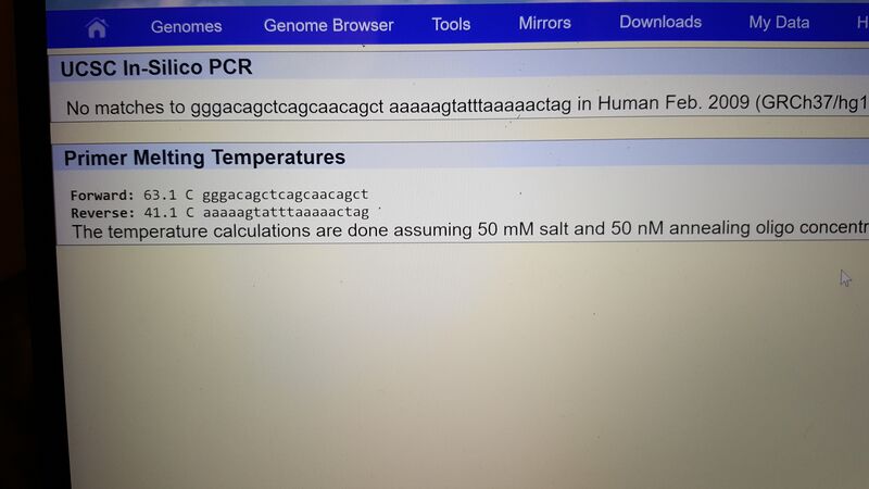 File:No Matches-Disease primers.jpg