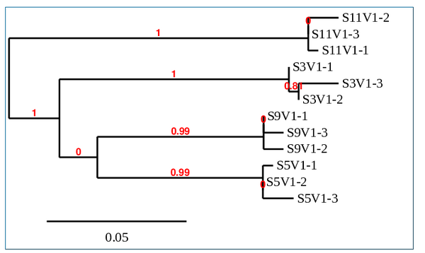 Problem Understanding Form