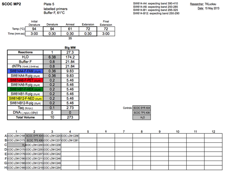 File:20130515 PCR.png