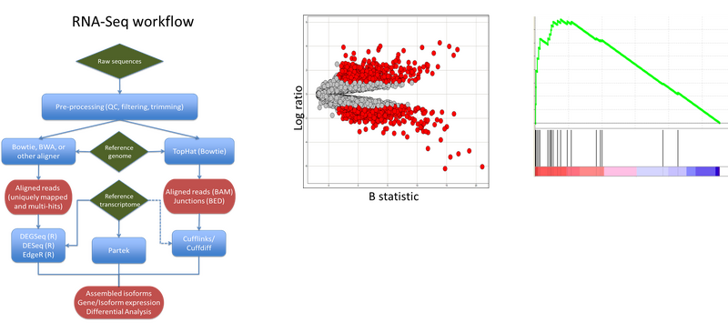 File:BMC informatics GeneExpression.png
