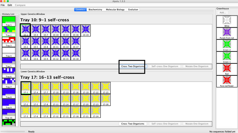 File:Bioinformatics-blue +yellow.png