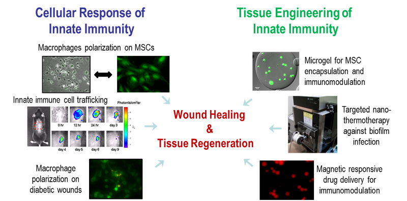 File:Website fig2.png