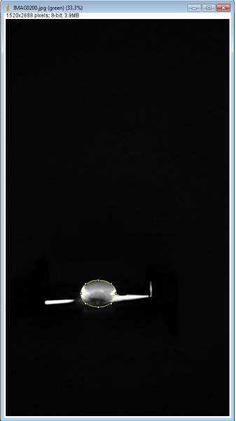 File:BME100 Group6 WithDNA.png