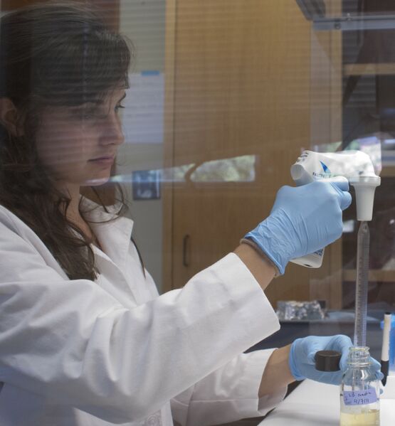 File:Hermann Picture.jpg