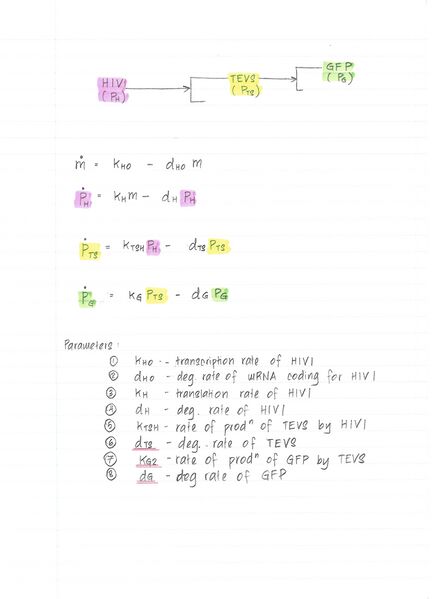 File:Model output 011.jpg