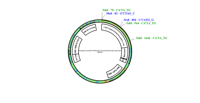 File:PTXB1-BSA.bmp