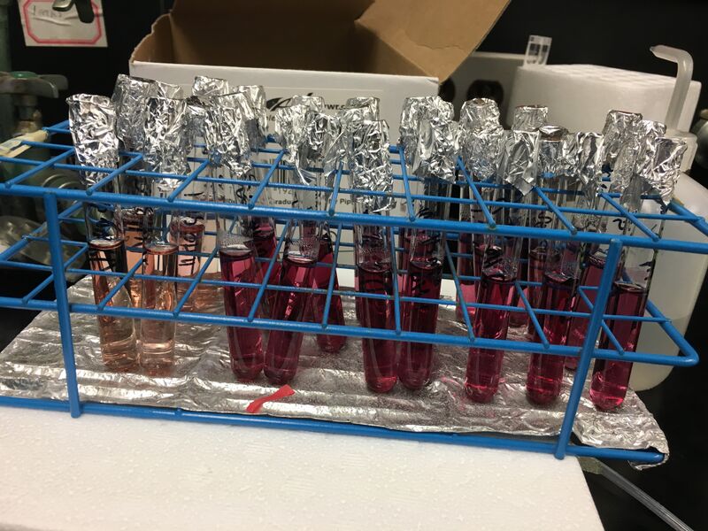 File:.75 frucctose uvvis jnjiok.jpg