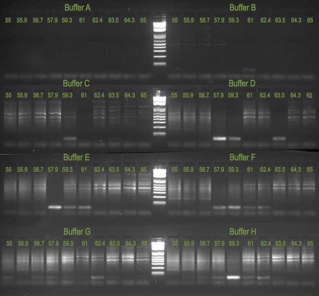 File:20130209 Geld.png