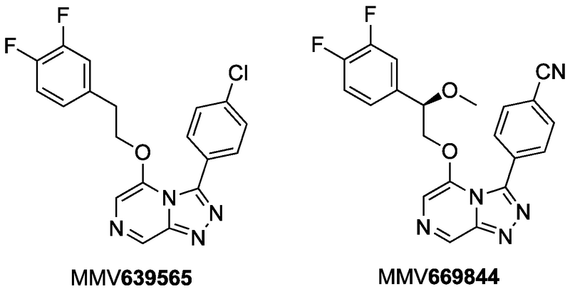 File:MMV669844 and MMV639565.png