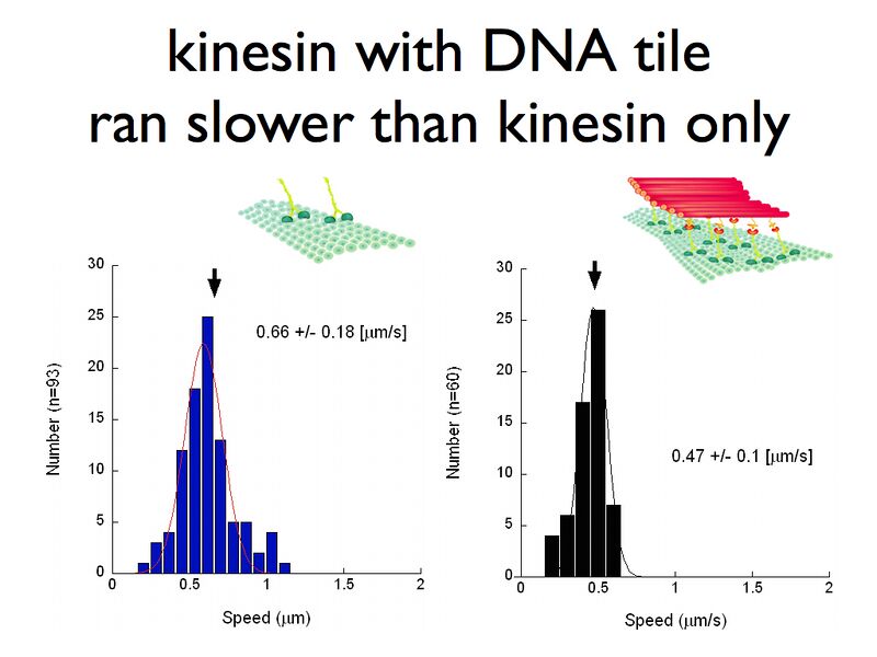 File:121015 midterm copy.036.jpg