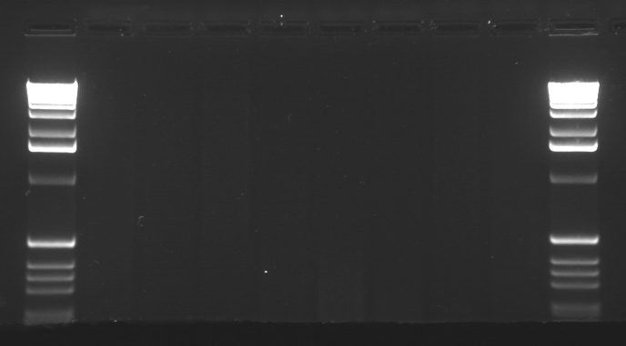 File:20110111 TR10.TIF