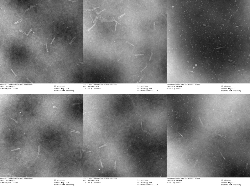 File:20111027 theU BM2 2C10 control059.png