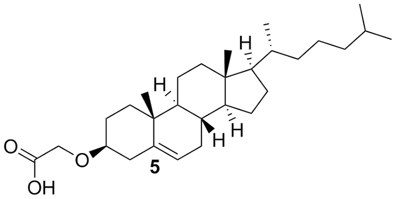 File:Biomod Aarhus Chem Chol5.png