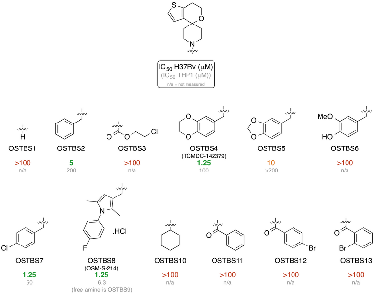 File:First Round GSK.png