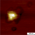 Thumbnail for version as of 17:16, 8 January 2013