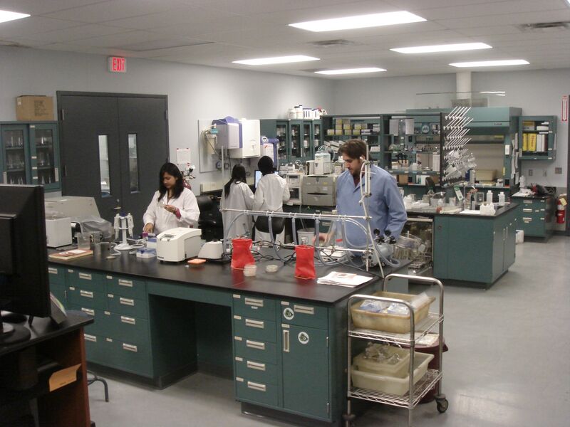 File:RichardGroupWorking.JPG
