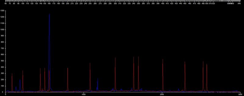 File:20110323 Frag SYR2-G.jpg