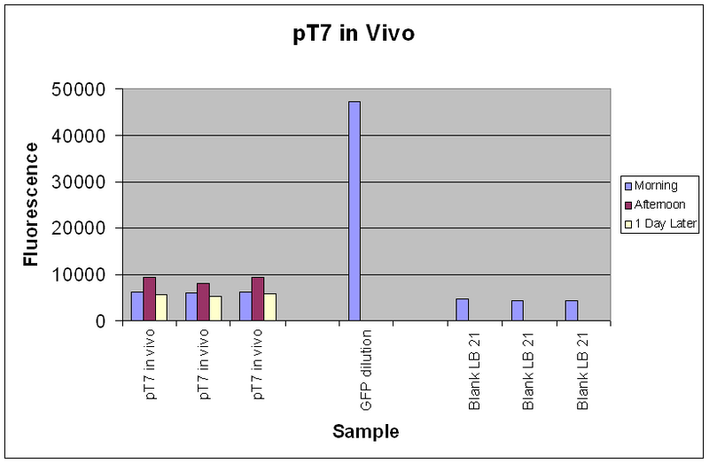 File:IC2007 Experimental design protocol1-1res2 .PNG
